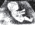 Benutzeravatar