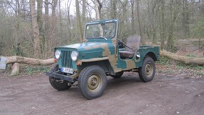 Willys wieder draußen.jpg