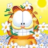 Benutzeravatar